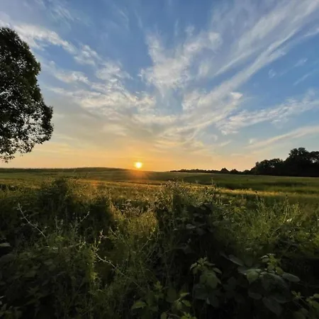 Near Castle Ruins アパート *