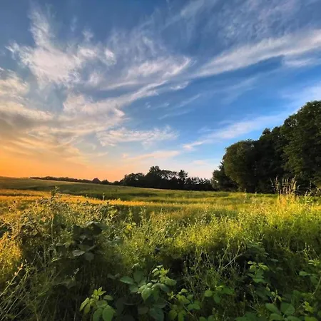 Near Castle Ruins マンダーシャイト